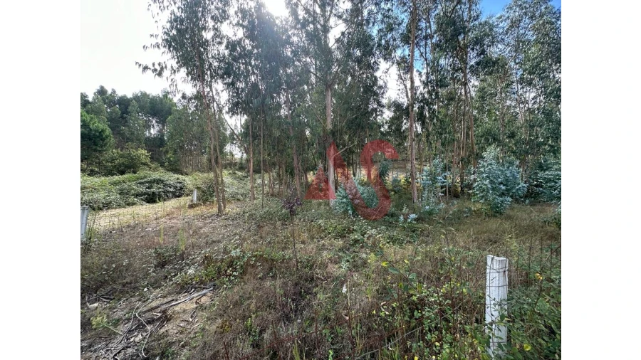 Terreno para Venda em Sande São Lourenço e Balazar Foto 9