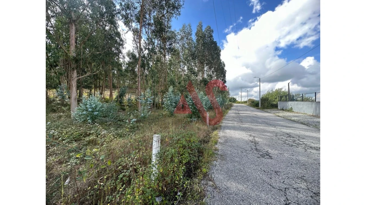 Terreno para Venda em Sande São Lourenço e Balazar Foto 7