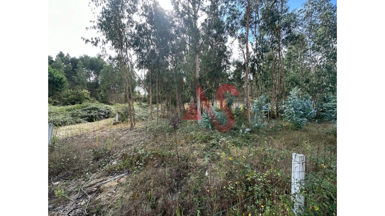 Terreno para Venda em Sande São Lourenço e Balazar Foto 9