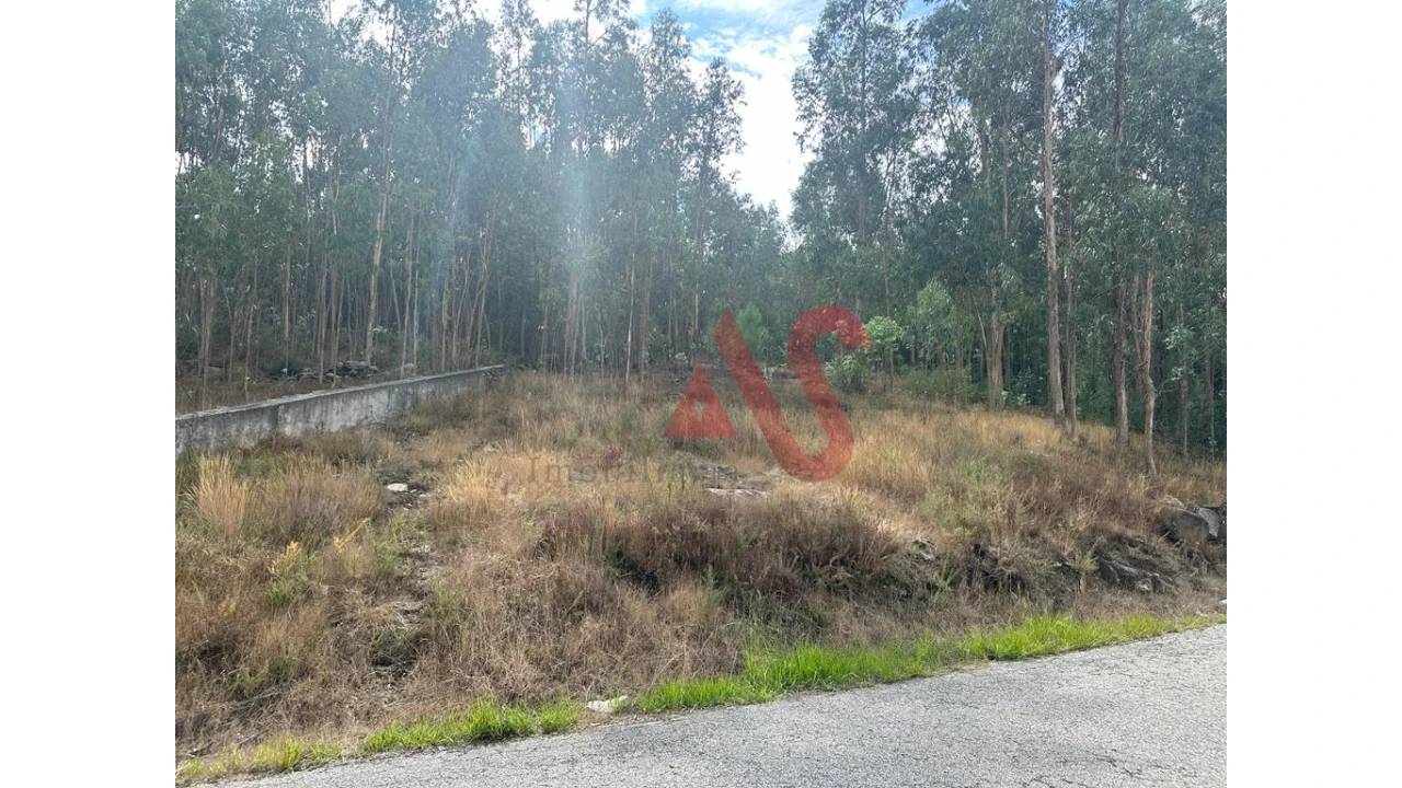 Terreno para Venda em Sande São Lourenço e Balazar Foto 11