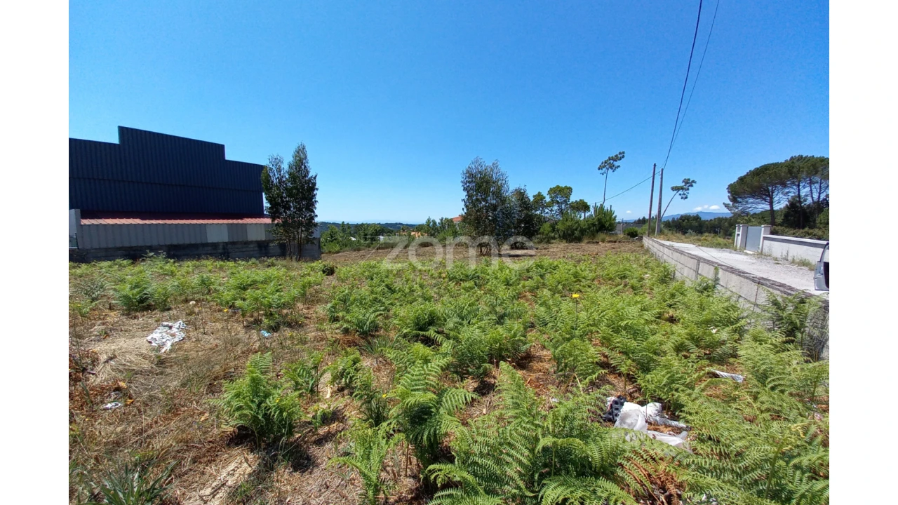 Terreno para Venda em Faíl e Vila Chã de Sá Foto 7