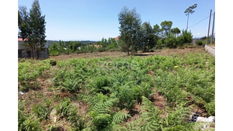 Terreno para Venda em Faíl e Vila Chã de Sá