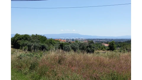 Terreno para Venda em Faíl e Vila Chã de Sá