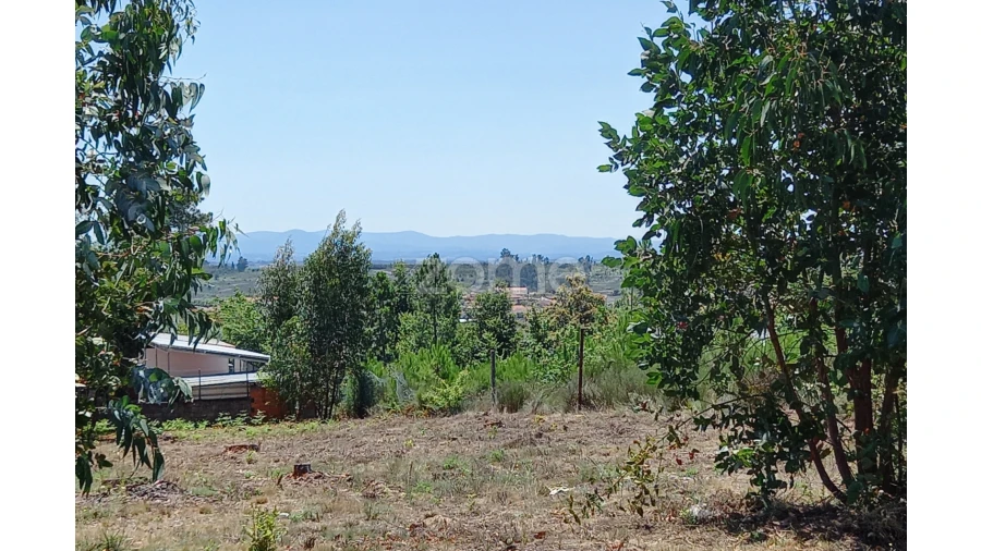 Terreno para Venda em Faíl e Vila Chã de Sá Foto 3
