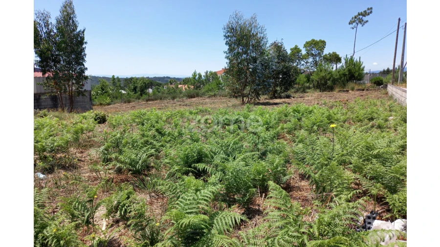 Terreno para Venda em Faíl e Vila Chã de Sá Foto 5