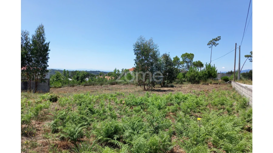Terreno para Venda em Faíl e Vila Chã de Sá Foto 6