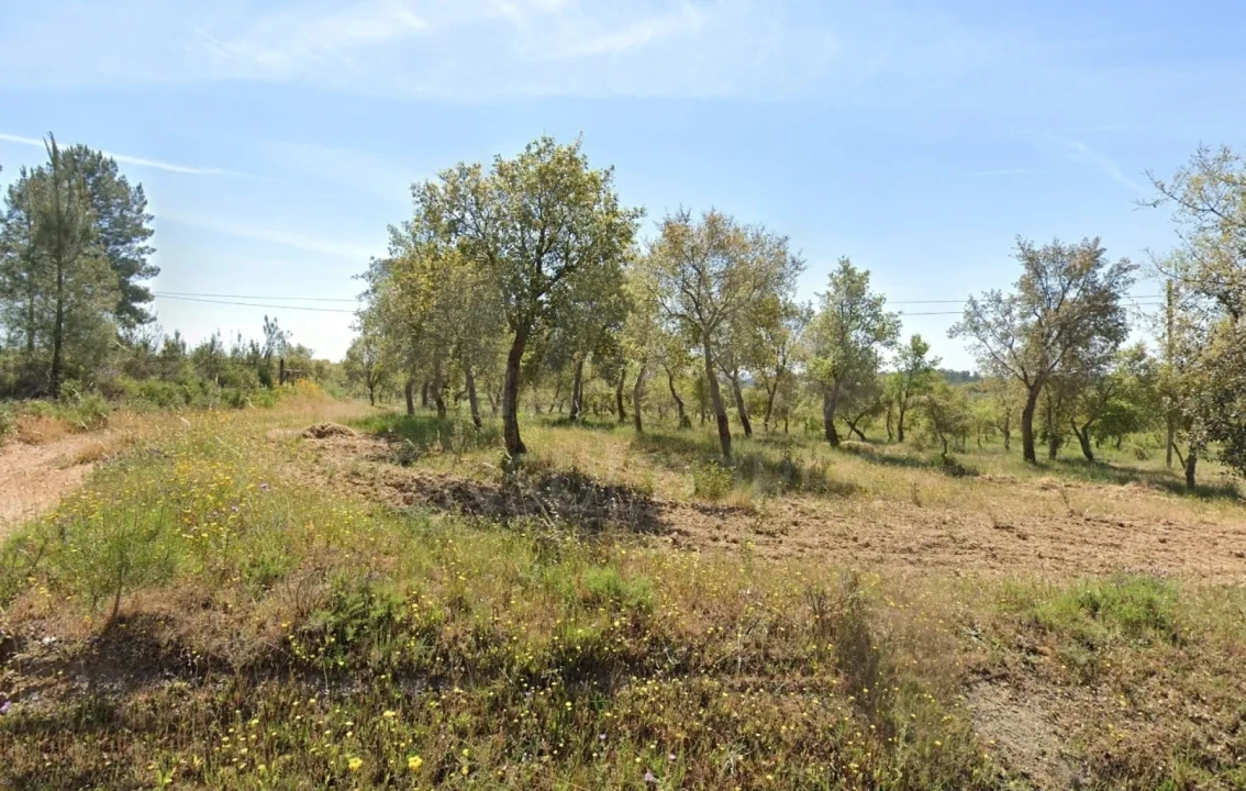 Terreno para Venda em Mouriscas Foto 2