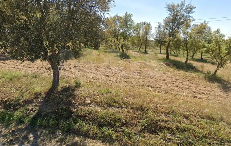 Terreno para Venda em Mouriscas Foto 3
