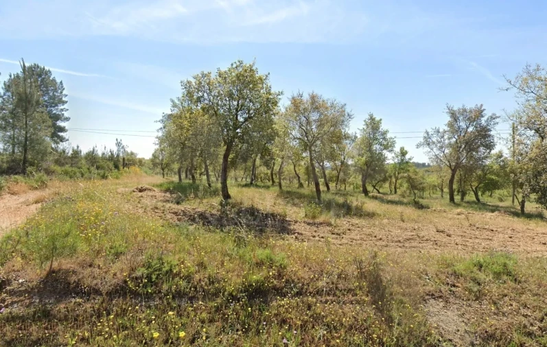 Terreno para Venda em Mouriscas Foto 2