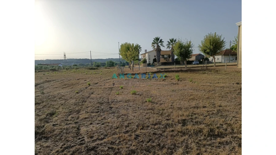 Terreno para Venda em Marrazes e Barosa Foto 4