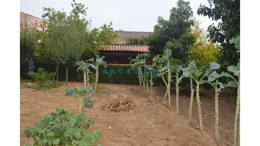 Moradia T6 para Venda em Nossa Sra de Fatima Foto 23