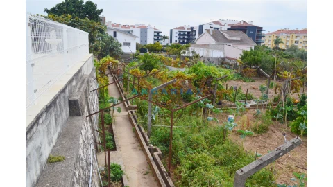Terreno para Venda em Nossa Sra de Fatima