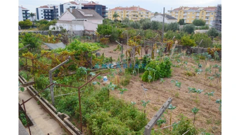 Terreno para Venda em Nossa Sra de Fatima