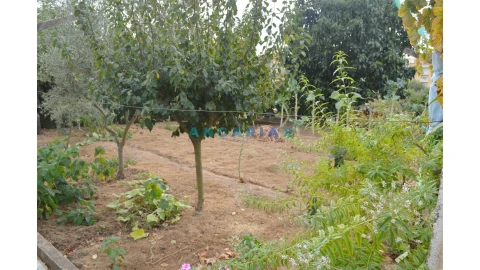 Terreno para Venda em Nossa Sra de Fatima