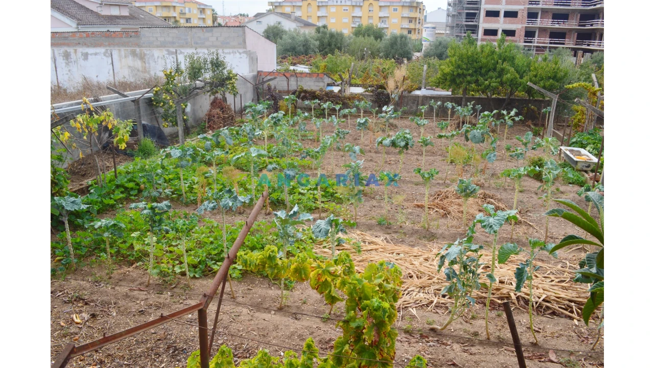 Terreno para Venda em Nossa Sra de Fatima Foto 1