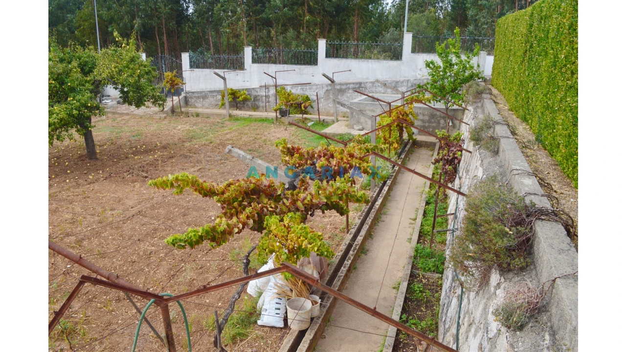 Terreno para Venda em Nossa Sra de Fatima Foto 6