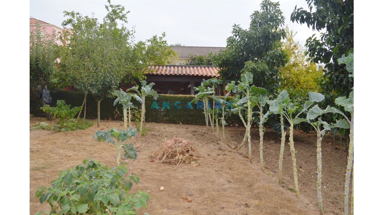 Terreno para Venda em Nossa Sra de Fatima Foto 5