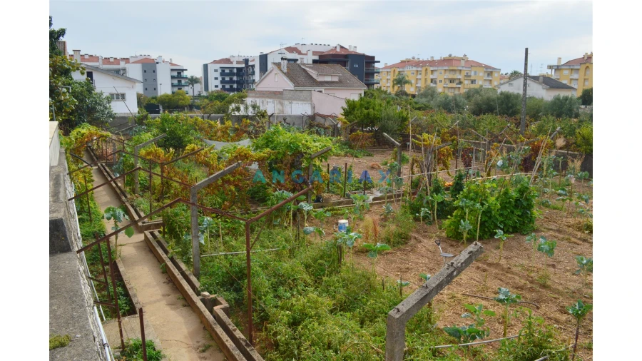 Terreno para Venda em Nossa Sra de Fatima Foto 3