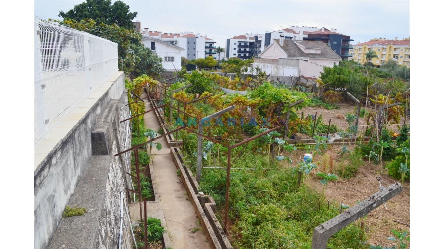 Terreno para Venda em Nossa Sra de Fatima Foto 11