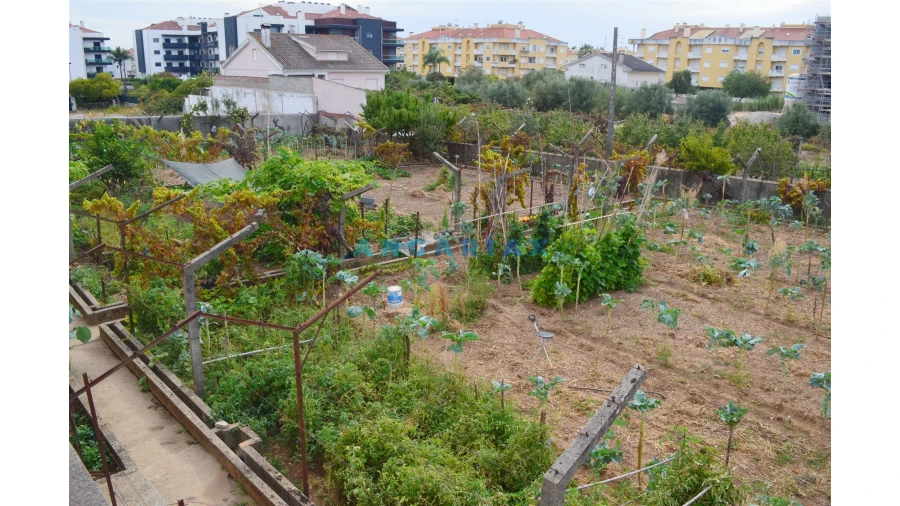Terreno para Venda em Nossa Sra de Fatima Foto 2