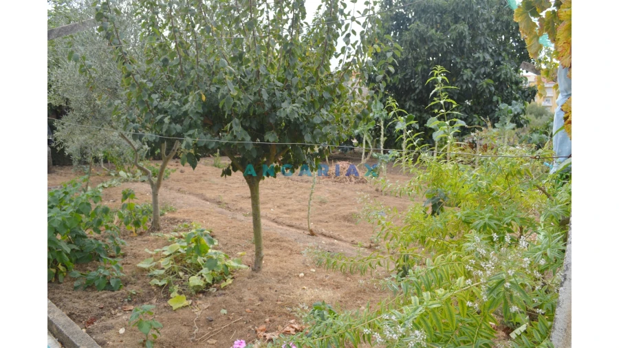 Terreno para Venda em Nossa Sra de Fatima Foto 9