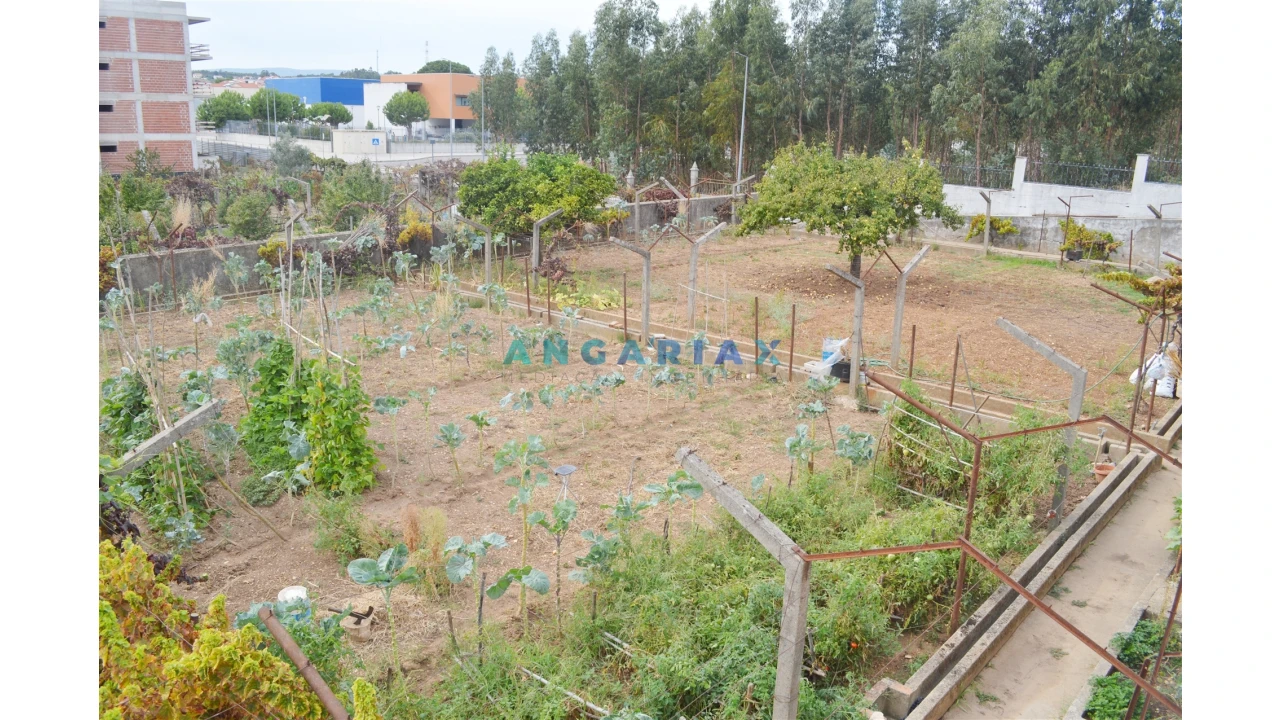 Terreno para Venda em Nossa Sra de Fatima Foto 10