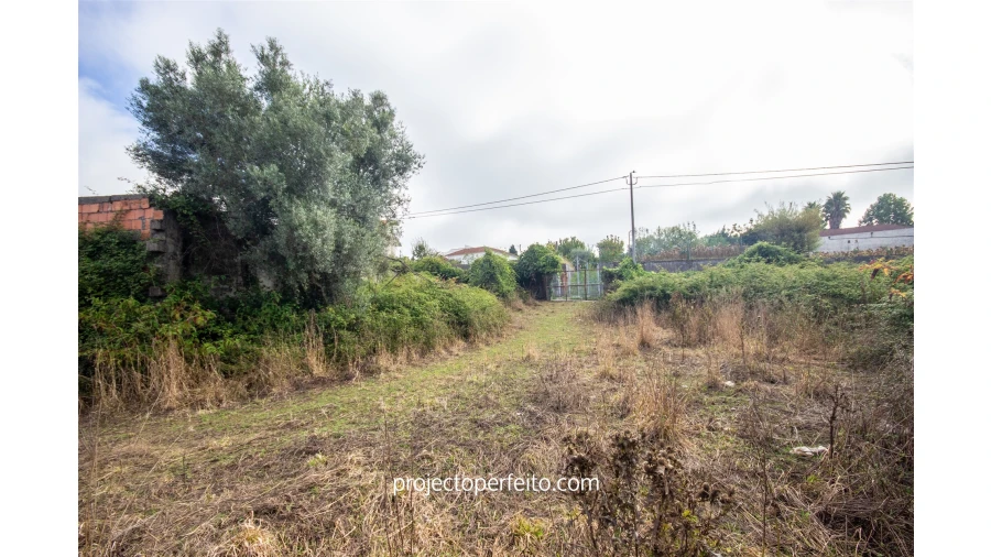 Quinta T8 para Venda em Lobão, Gião, Louredo e Guisande Foto 23