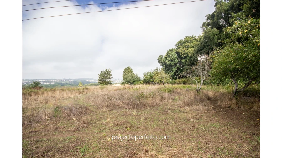 Quinta T8 para Venda em Lobão, Gião, Louredo e Guisande Foto 12