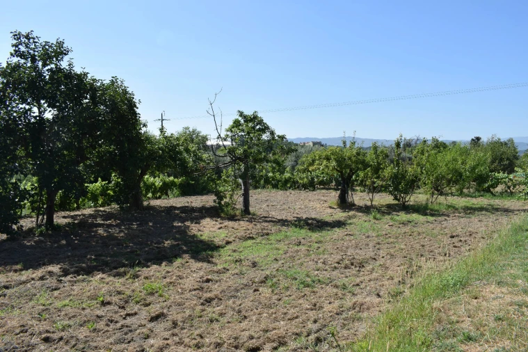 Quinta T3 para Venda em Teixoso e Sarzedo Foto 34