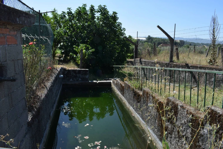 Quinta T3 para Venda em Teixoso e Sarzedo Foto 38