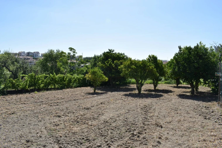Quinta T3 para Venda em Teixoso e Sarzedo Foto 37