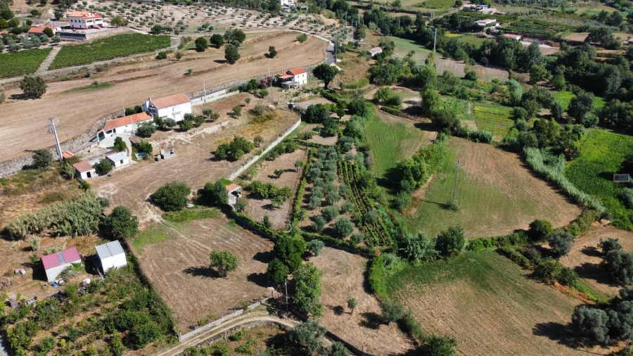 Quinta T3 para Venda em Teixoso e Sarzedo Foto 5
