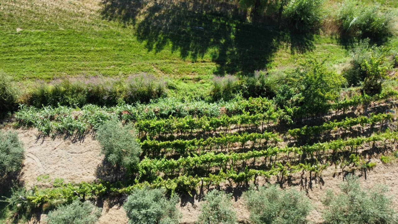 Quinta T3 para Venda em Teixoso e Sarzedo Foto 10