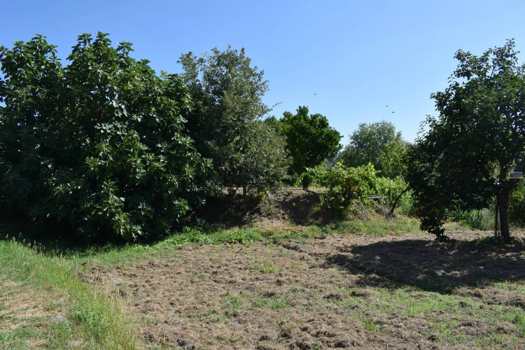 Quinta T3 para Venda em Teixoso e Sarzedo Foto 35