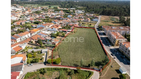 Terreno para Venda em Ovar, São João, Arada e São Vicente de Pereira Jusã