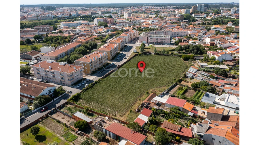Terreno para Venda em Ovar, São João, Arada e São Vicente de Pereira Jusã Foto 6