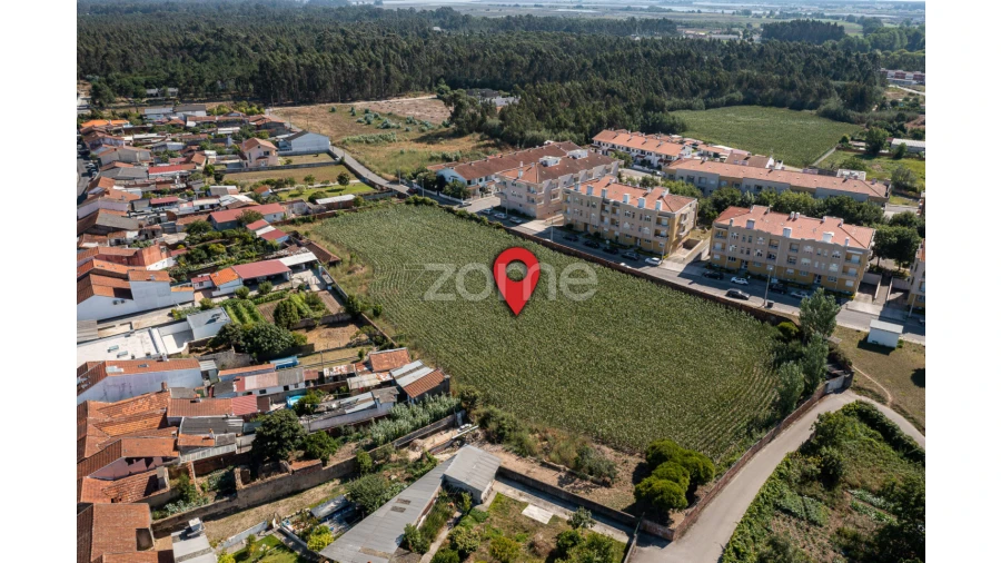 Terreno para Venda em Ovar, São João, Arada e São Vicente de Pereira Jusã Foto 8