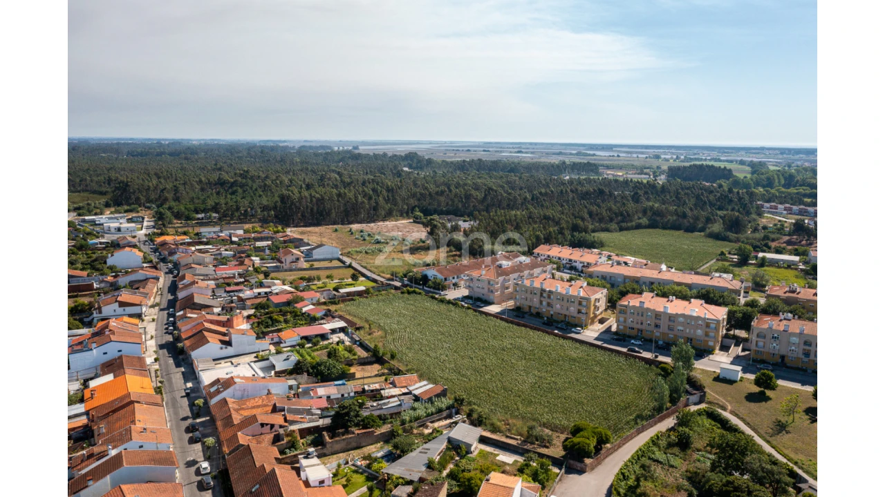 Terreno para Venda em Ovar, São João, Arada e São Vicente de Pereira Jusã Foto 16