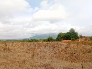 Terreno para Venda em Abrigada e Cabanas de Torres
