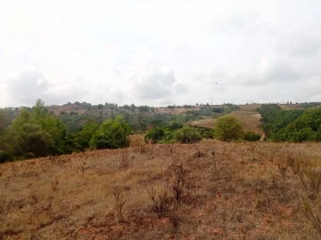 Terreno para Venda em Abrigada e Cabanas de Torres