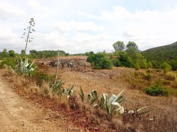 Terreno para Venda em Abrigada e Cabanas de Torres
