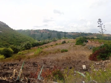 Terreno para Venda em Abrigada e Cabanas de Torres