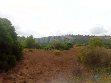 Terreno para Venda em Abrigada e Cabanas de Torres