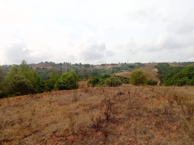 Terreno para Venda em Abrigada e Cabanas de Torres Foto 2