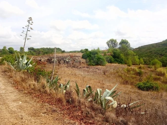 Terreno para Venda em Abrigada e Cabanas de Torres Foto 8