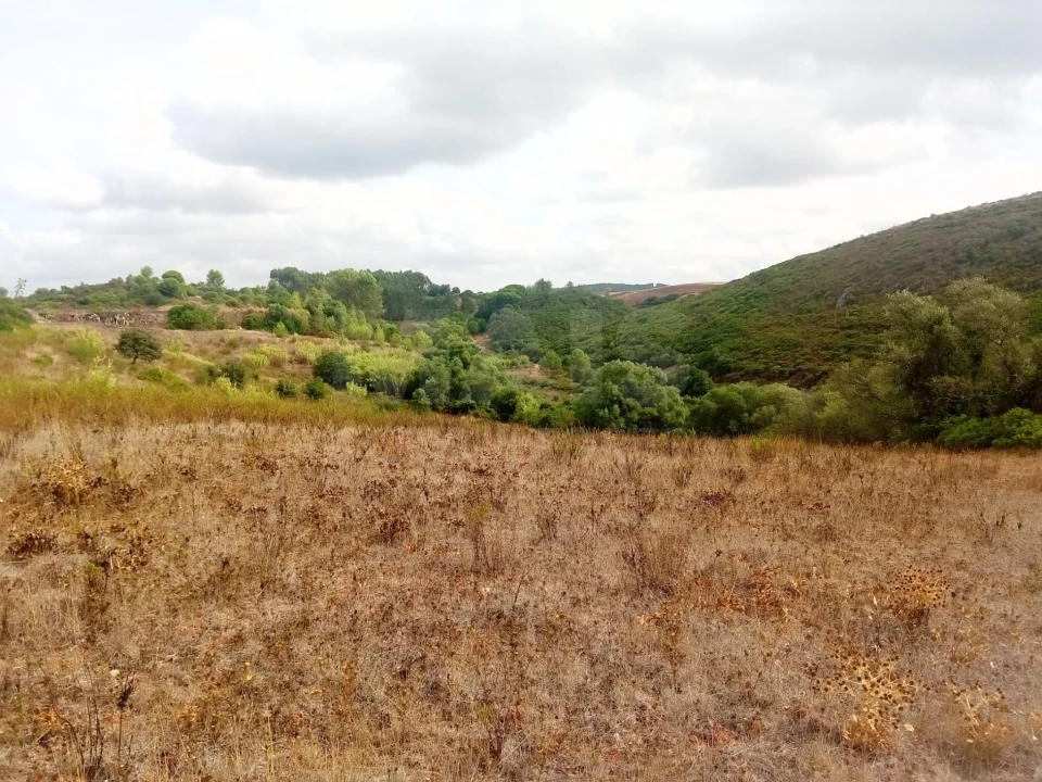 Terreno para Venda em Abrigada e Cabanas de Torres Foto 6