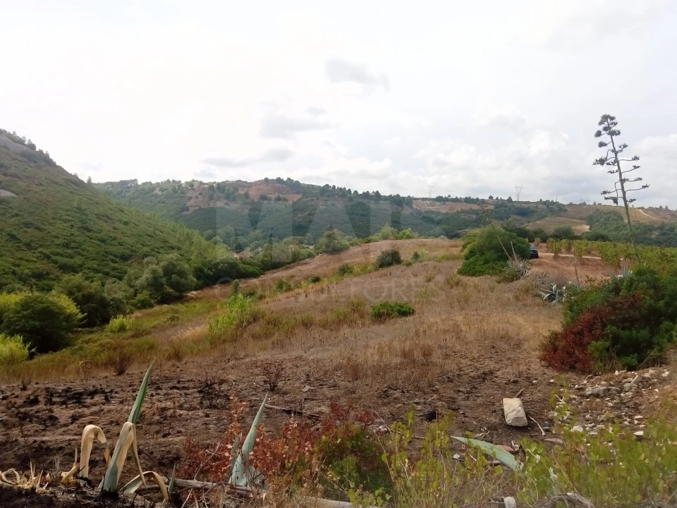 Terreno para Venda em Abrigada e Cabanas de Torres Foto 4