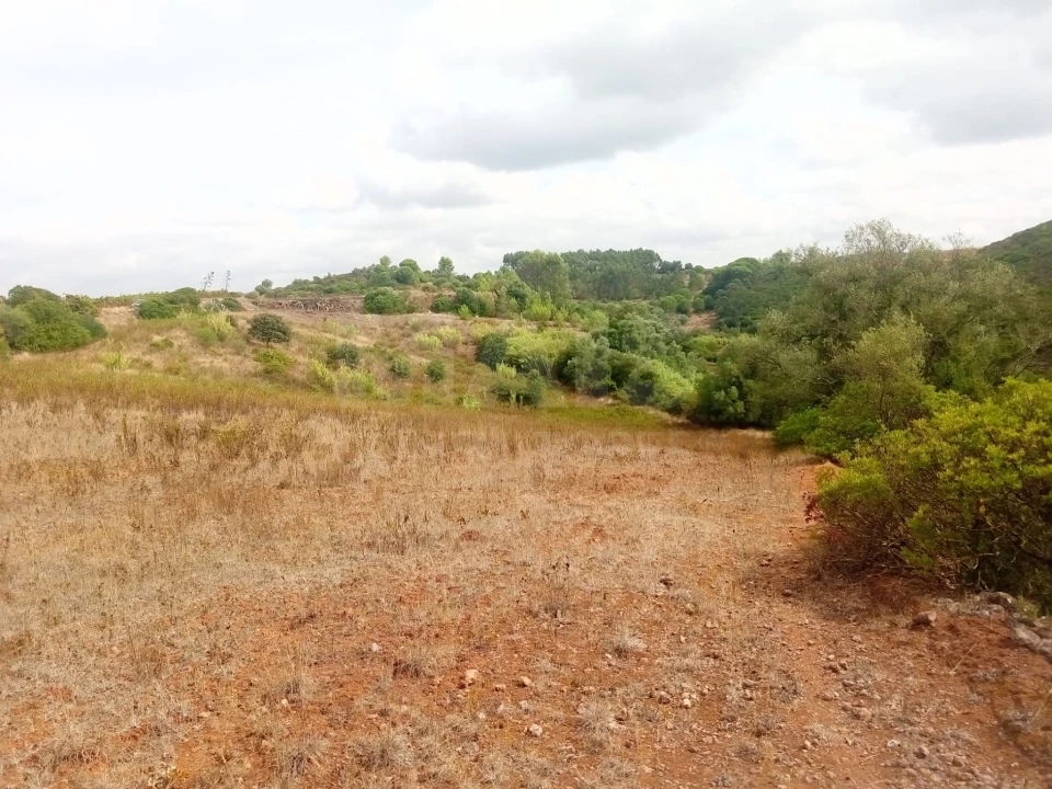 Terreno para Venda em Abrigada e Cabanas de Torres Foto 3
