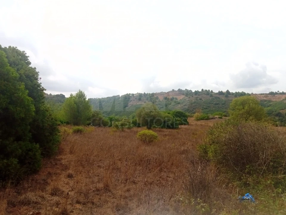 Terreno para Venda em Abrigada e Cabanas de Torres Foto 5