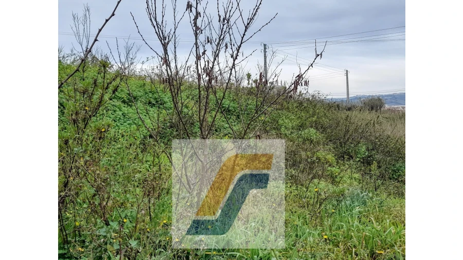 Terreno para Venda em Lourinhã e Atalaia Foto 5